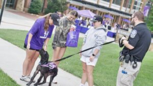 Harris - therapy dog